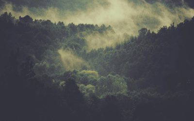 The Sleep–Exercise Connection: How Daily Movement Can Improve Sleep Quality